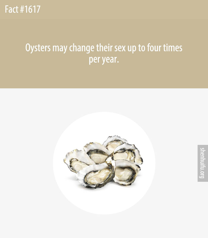 Oysters may change their sex up to four times per year.
