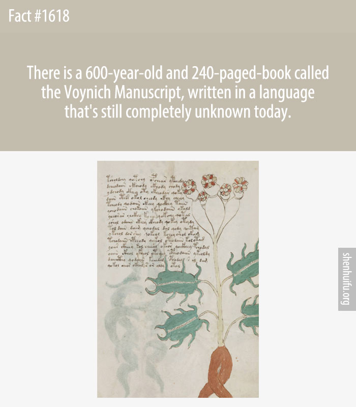 There is a 600-year-old and 240-paged-book called the Voynich Manuscript, written in a language that's still completely unknown today.