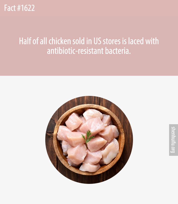 Half of all chicken sold in US stores is laced with antibiotic-resistant bacteria.