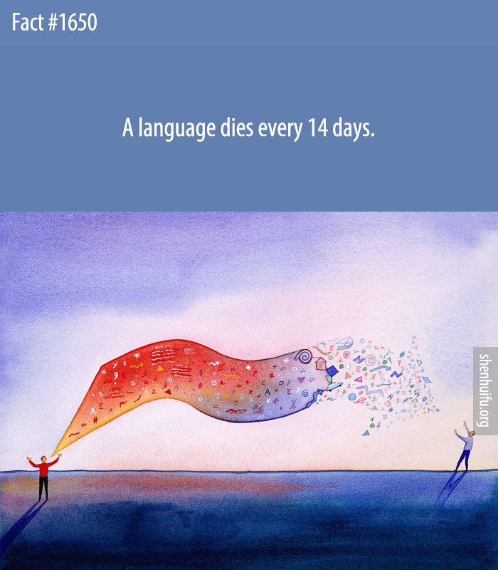 A language dies every 14 days.