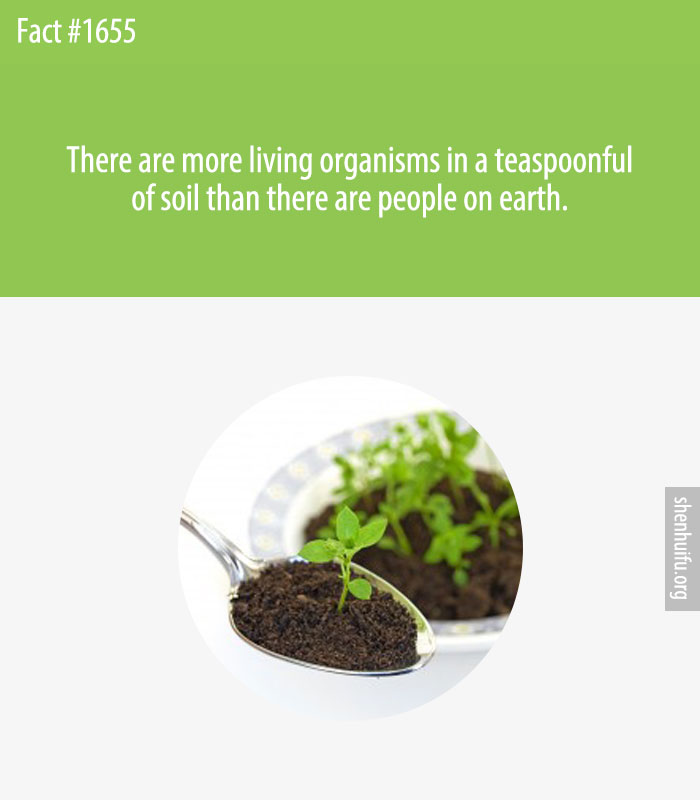 There are more living organisms in a teaspoonful of soil than there are people on earth.