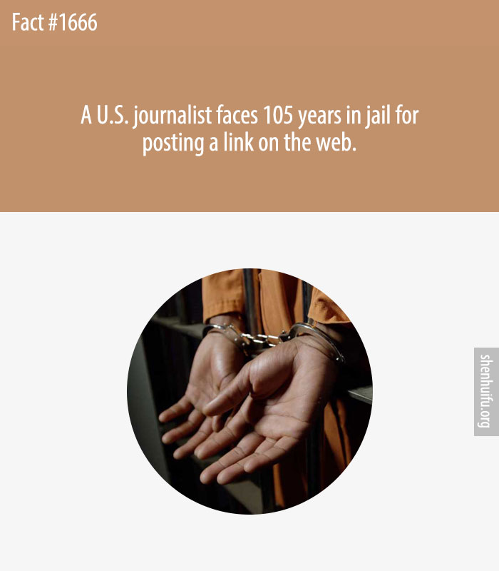 A U.S. journalist faces 105 years in jail for posting a link on the web.