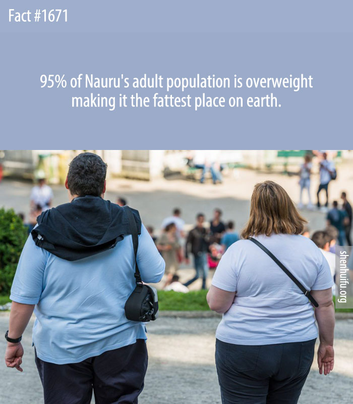 95% of Nauru's adult population is overweight making it the fattest place on earth.