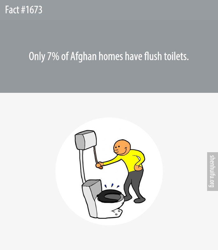 Only 7% of Afghan homes have flush toilets.