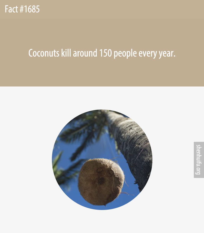 Coconuts kill around 150 people every year.
