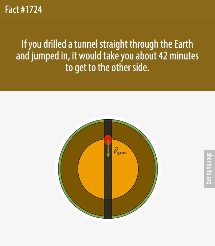 If you drilled a tunnel straight through the Earth and jumped in, it would take you about 42 minutes to get to the other side.