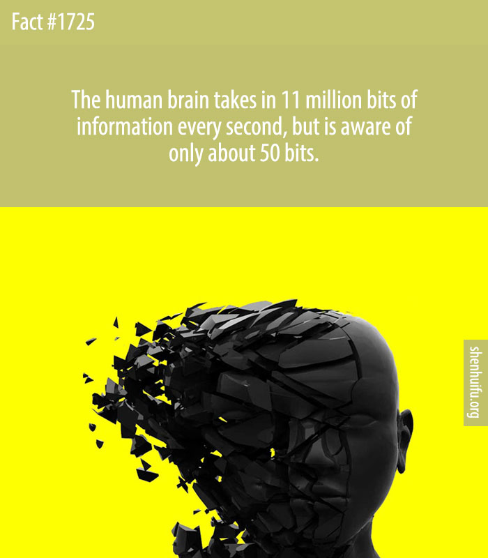 The human brain takes in 11 million bits of information every second, but is aware of only about 50 bits.