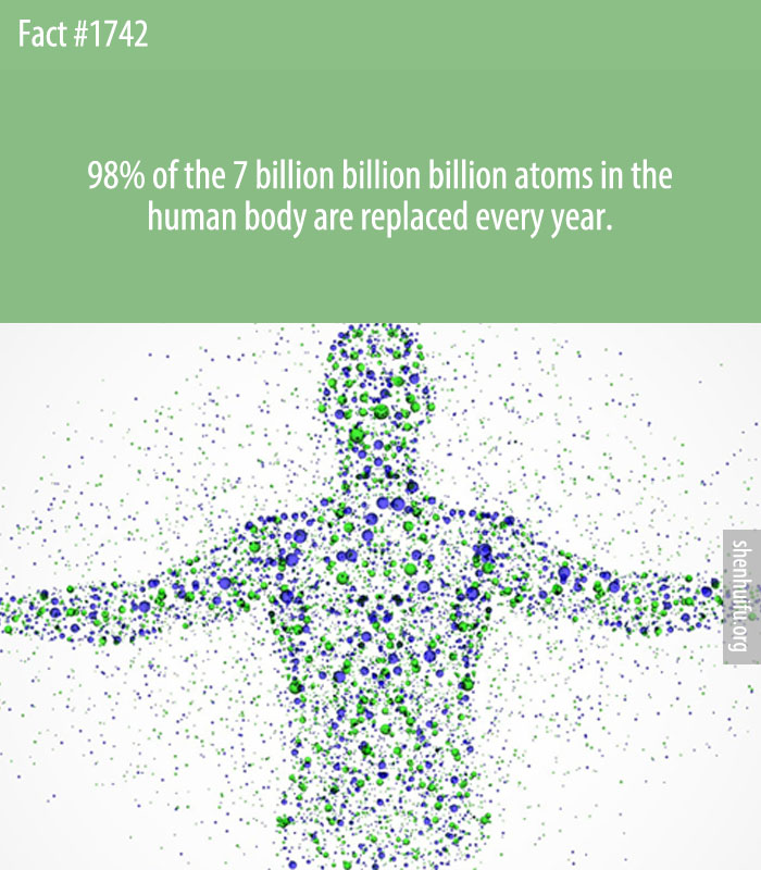 98% of the 7 billion billion billion atoms in the human body are replaced every year.