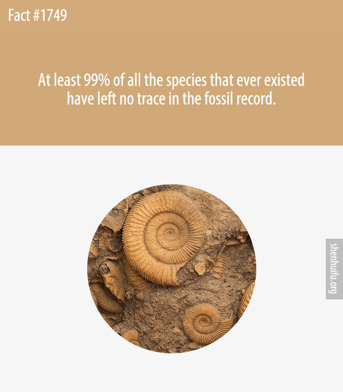 At least 99% of all the species that ever existed have left no trace in the fossil record.