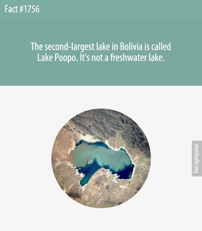 The second-largest lake in Bolivia is called Lake Poopo. It's not a freshwater lake.
