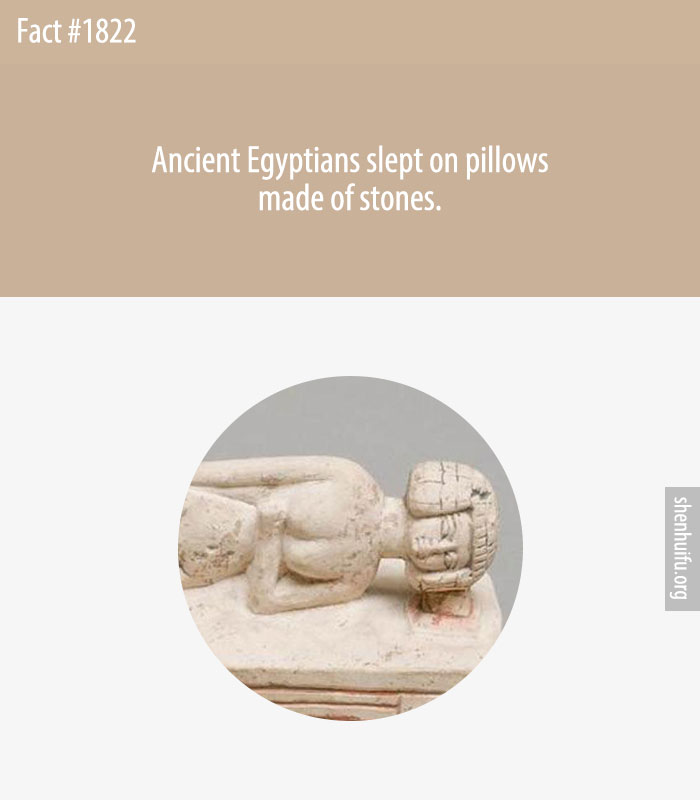 Ancient Egyptians slept on pillows made of stones.