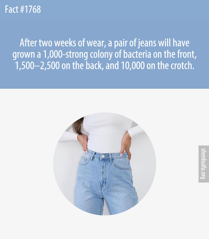 After two weeks of wear, a pair of jeans will have grown a 1,000-strong colony of bacteria on the front, 1,500–2,500 on the back, and 10,000 on the crotch.
