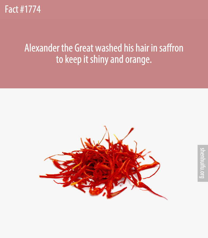 Alexander the Great washed his hair in saffron to keep it shiny and orange.