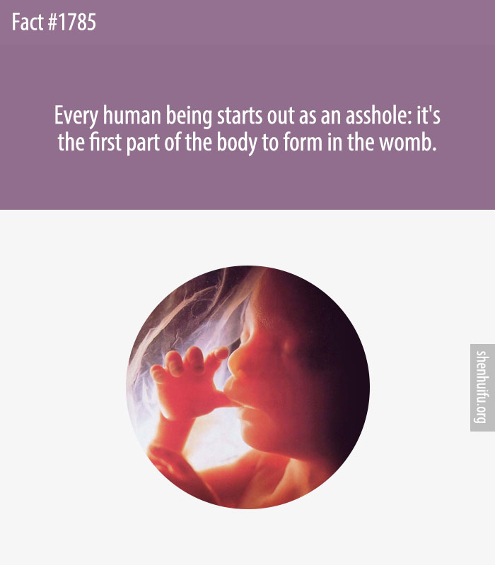 Every human being starts out as an asshole: it's the first part of the body to form in the womb.