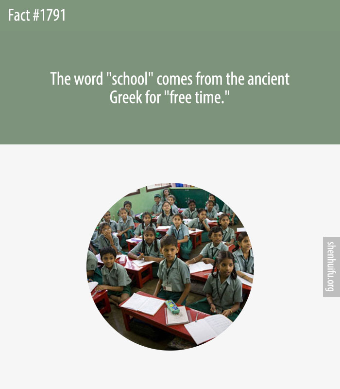 The word 'school' comes from the ancient Greek for 'free time.'