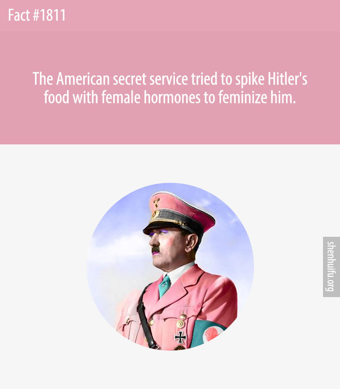 The American secret service tried to spike Hitler's food with female hormones to feminize him.