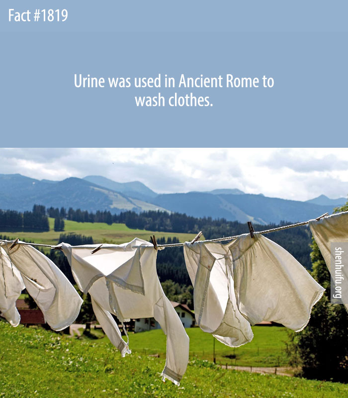 Urine was used in Ancient Rome to wash clothes.