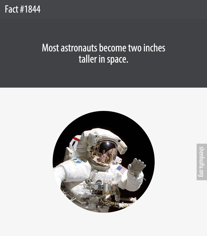 Most astronauts become two inches taller in space.