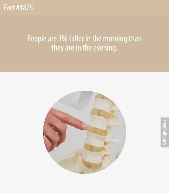 People are 1% taller in the morning than they are in the evening.