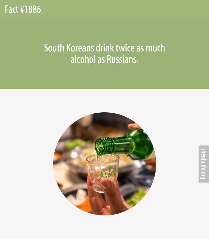South Koreans drink twice as much alcohol as Russians.
