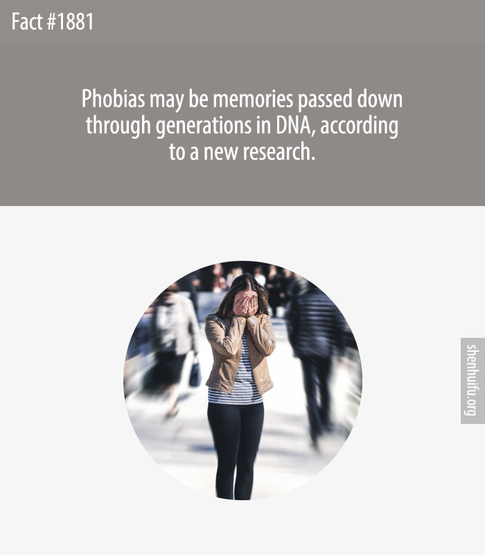 Phobias may be memories passed down through generations in DNA, according to a new research.