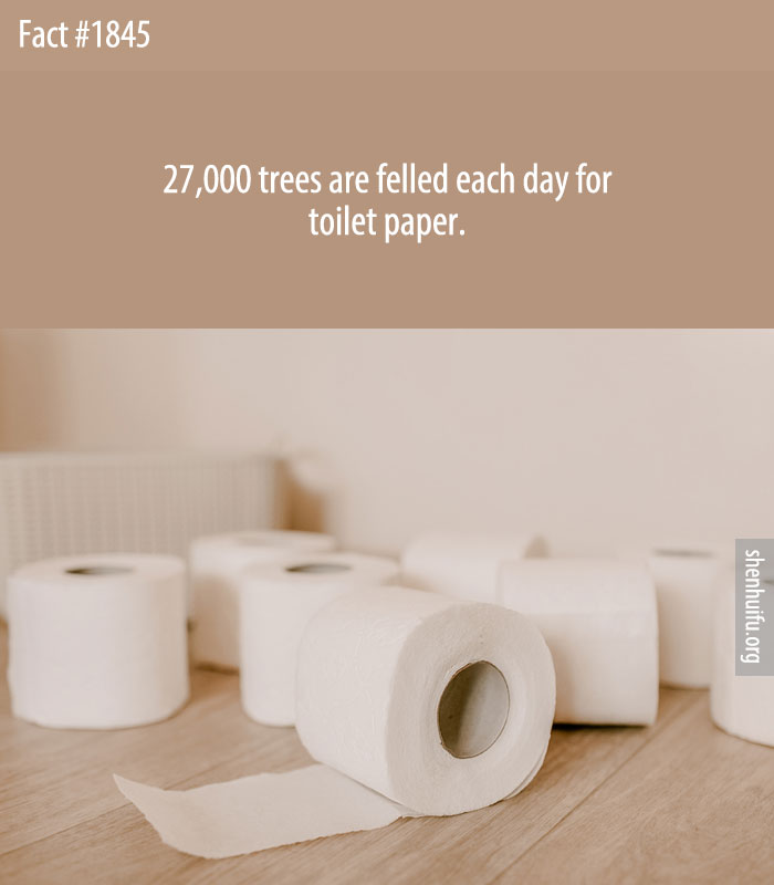 27,000 trees are felled each day for toilet paper.