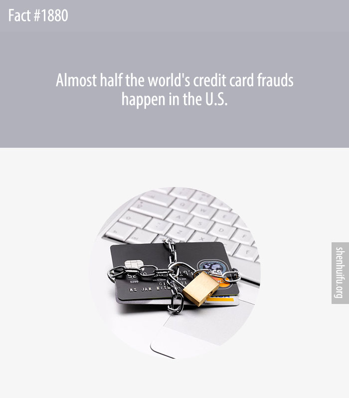 Almost half the world's credit card frauds happen in the U.S.