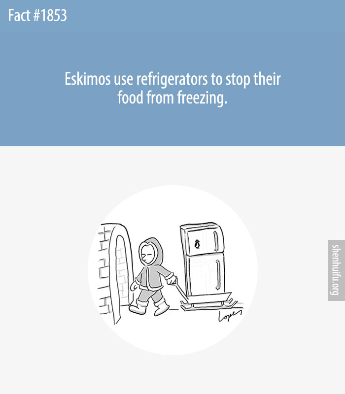 Eskimos use refrigerators to stop their food from freezing.