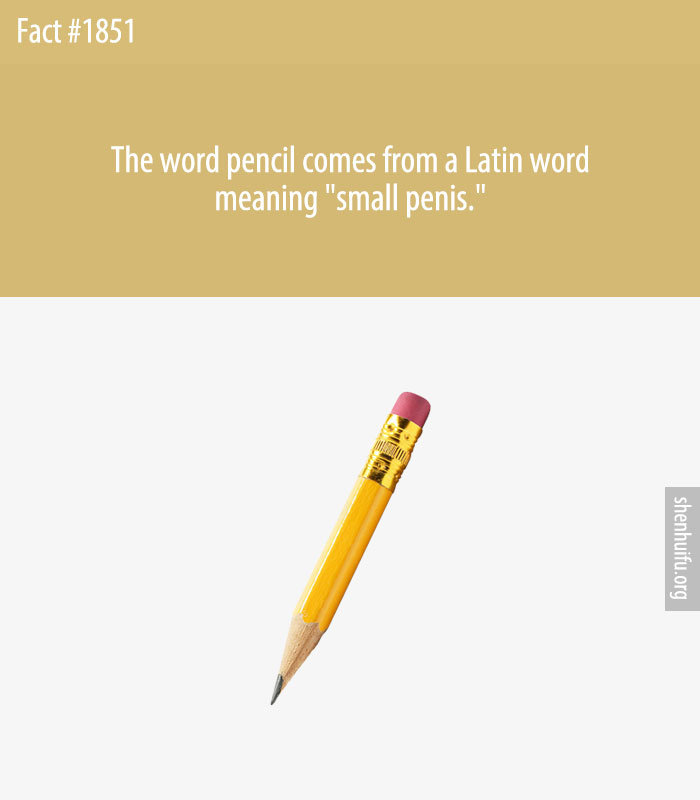 The word pencil comes from a Latin word meaning 'small penis.'