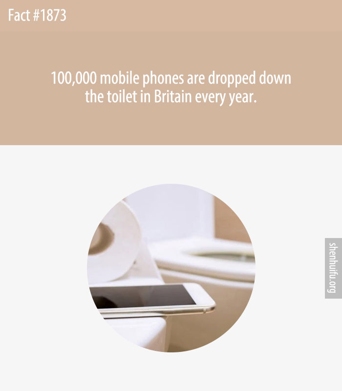 100,000 mobile phones are dropped down the toilet in Britain every year.