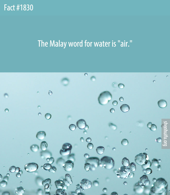 The Malay word for water is 'air.'
